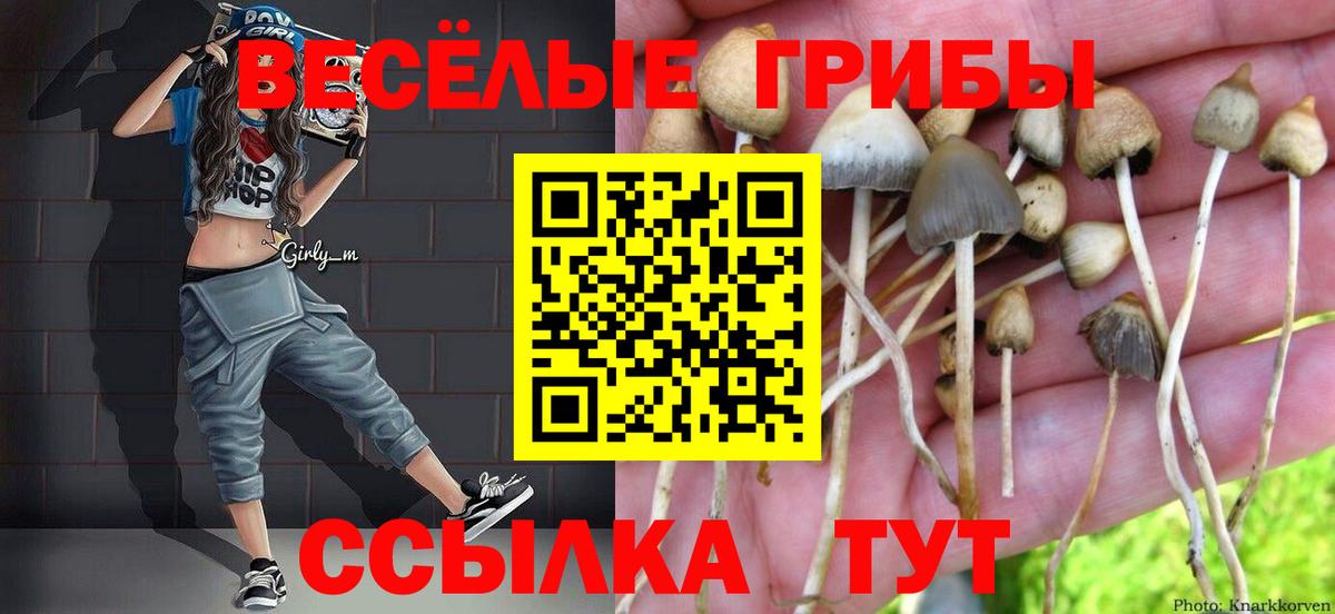 Шадринск  Галлюциногенные грибы мухоморы  где продают   Вход с VPN 