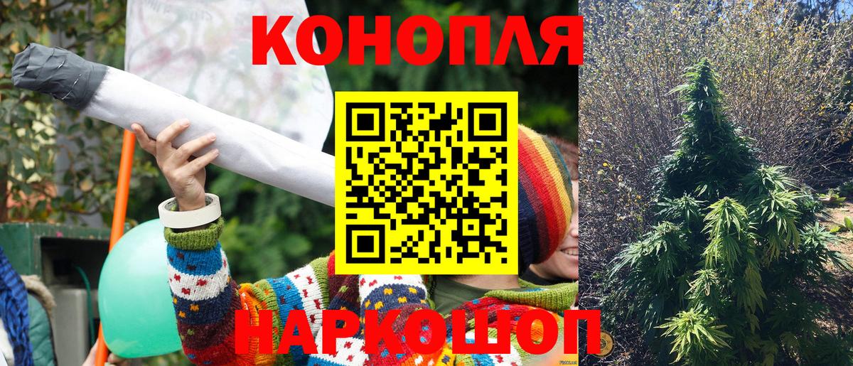 Шадринск  Конопля гибрид  Вход с VPN  Каннабис сатива  Канабис VHQ 